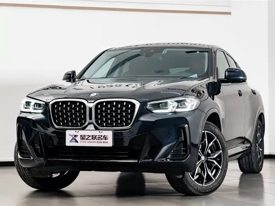 BMW X4 2023 из CN, фото 4