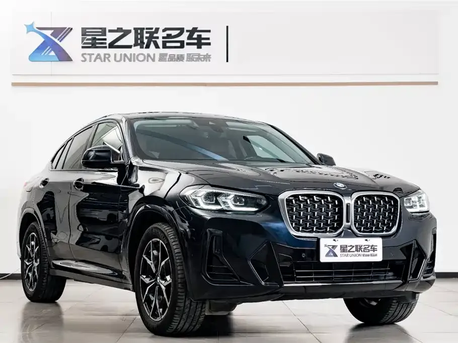 BMW X4 2023 из CN, фото 7