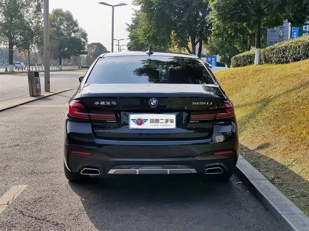 BMW 5 Series 2023 из CN, фото 4