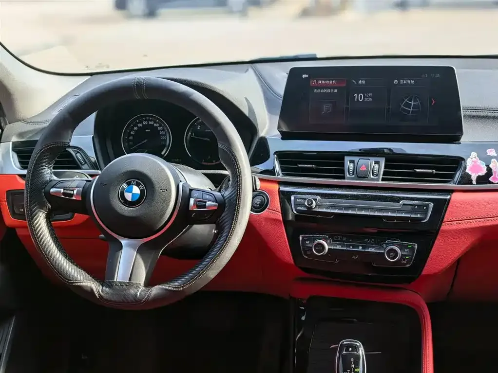 BMW X2 2021 из CN, фото 7