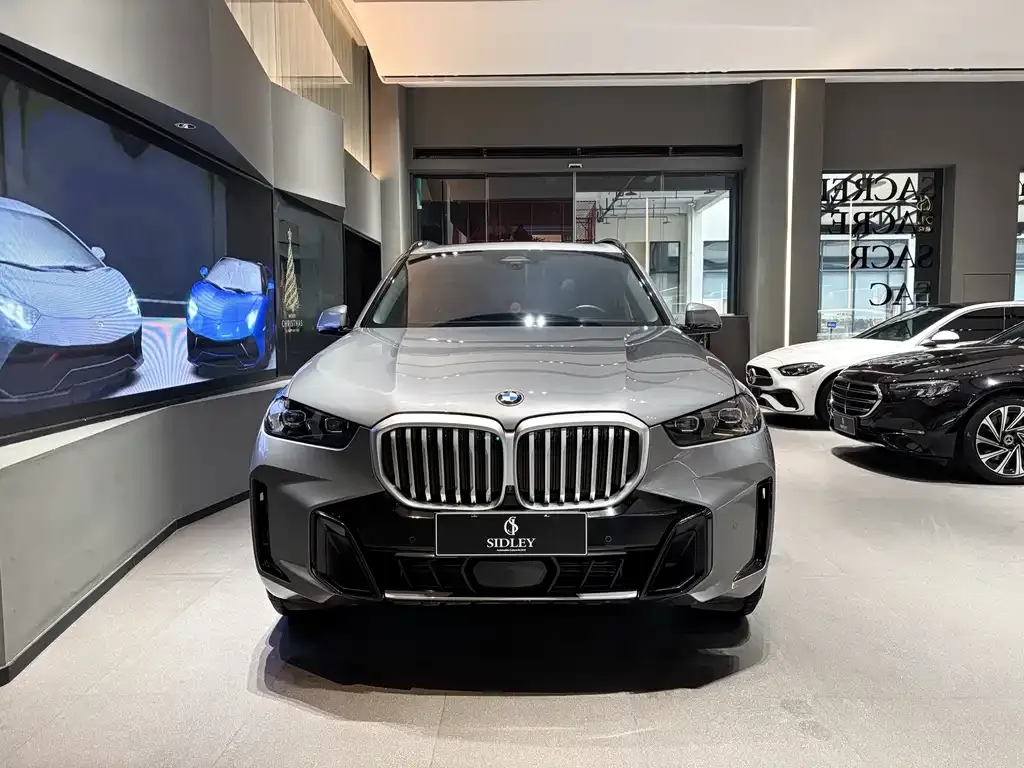 BMW X5 2024 из CN, фото 6