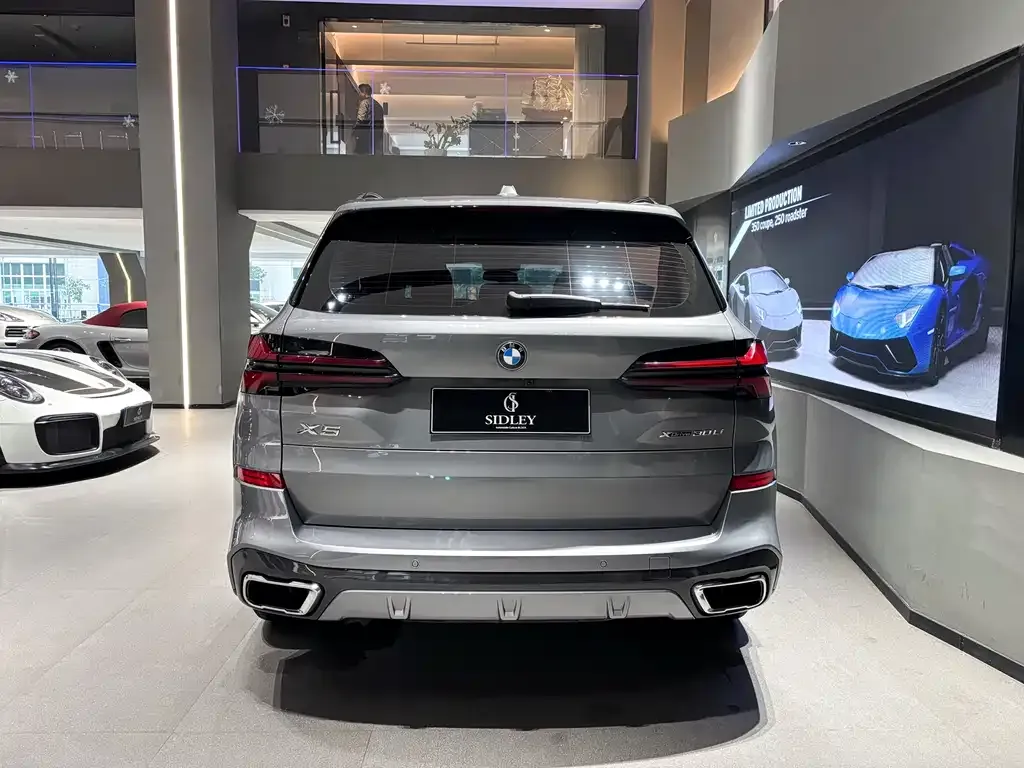 BMW X5 2024 из CN, фото 2