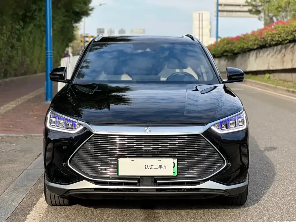 BYD PLUS New Energy 2022 из CN, фото 2