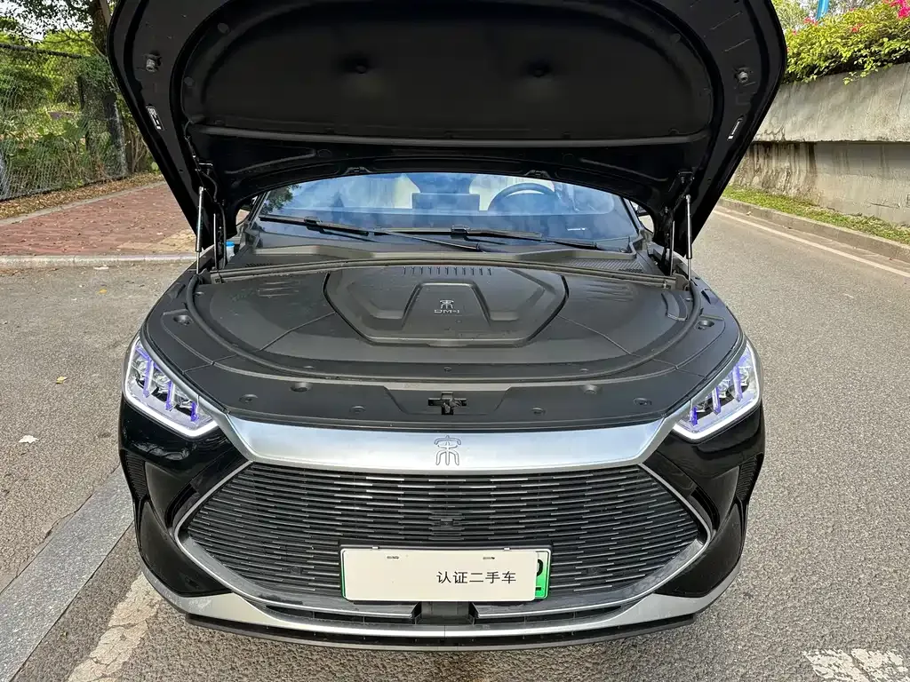 BYD PLUS New Energy 2022 из CN, фото 4
