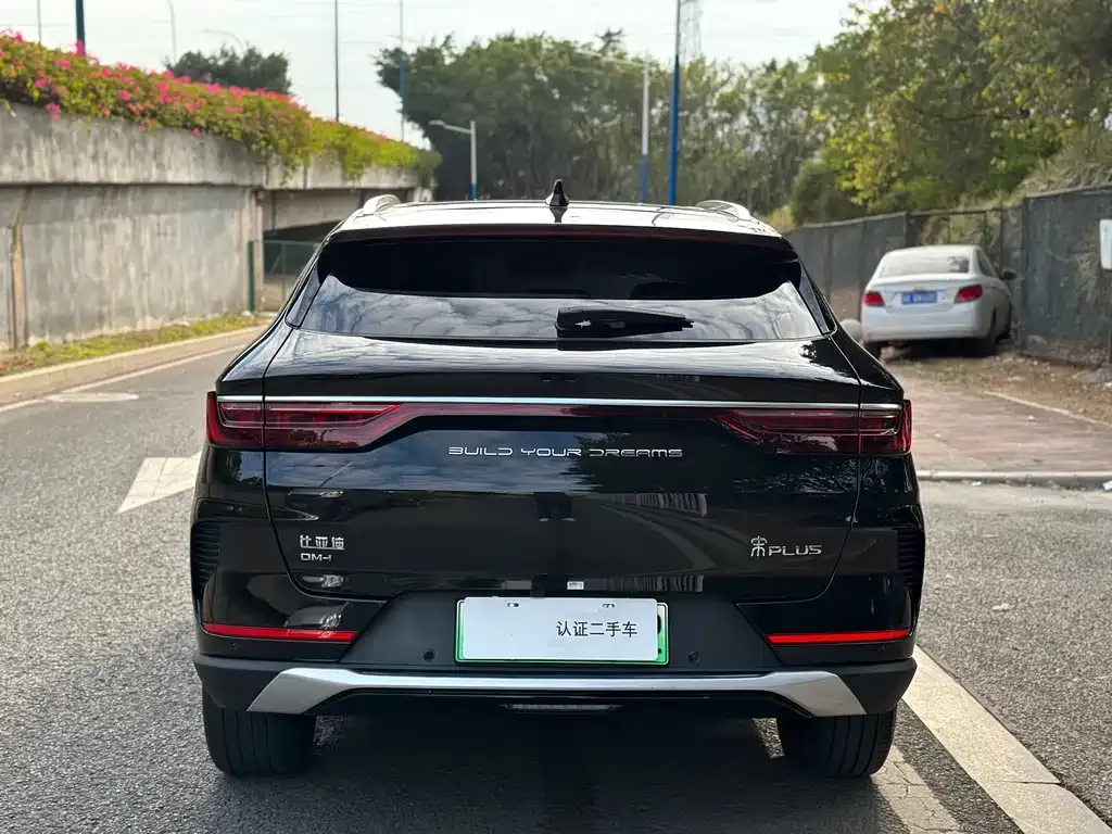 BYD PLUS New Energy 2022 из CN, фото 6