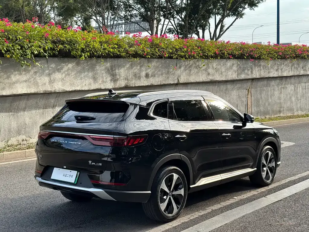 BYD PLUS New Energy 2022 из CN, фото 7