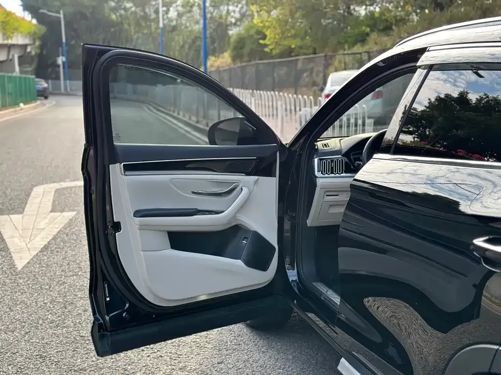 BYD PLUS New Energy 2022 из CN, фото 9