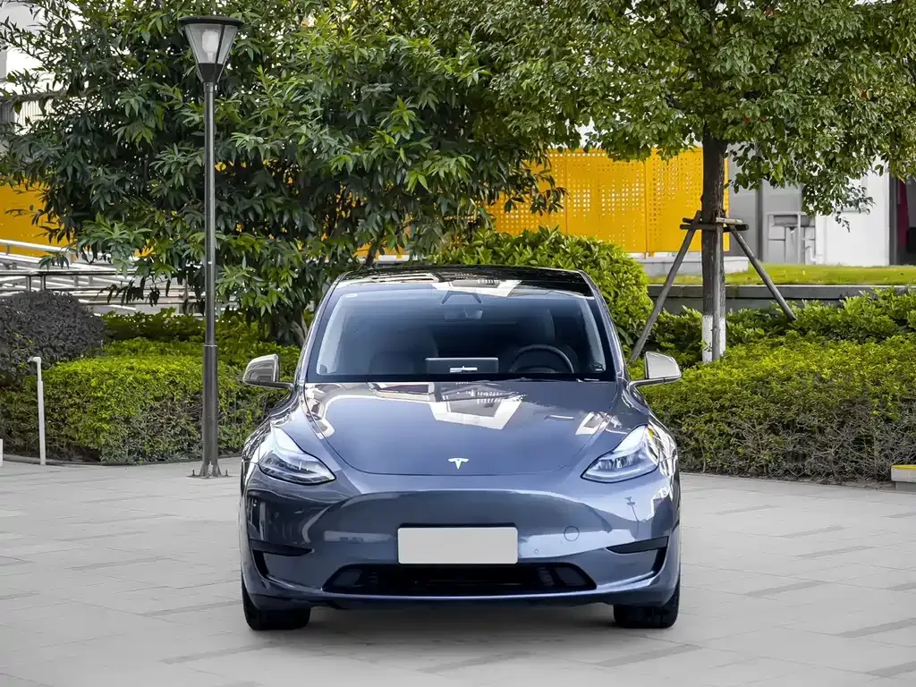 Tesla Model Y 2022 из CN, фото 6