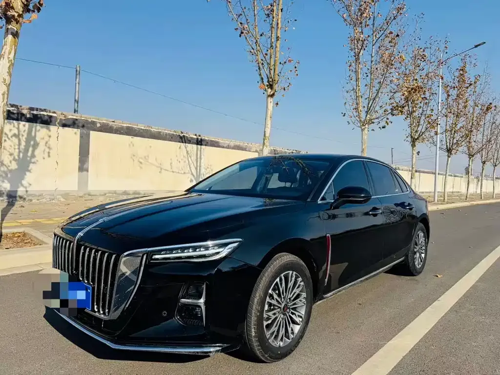 Hongqi H5 2025 из CN, фото 1