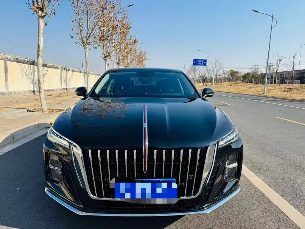 Hongqi H5 2025 из CN, фото 6