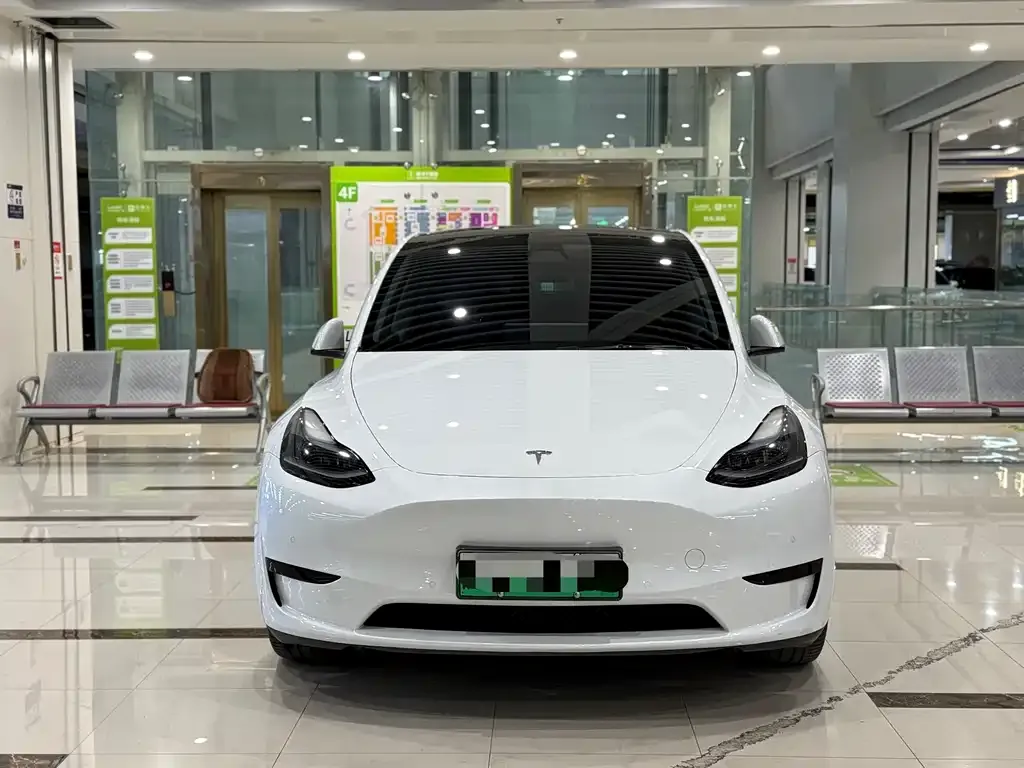 Tesla Model Y — фото 2