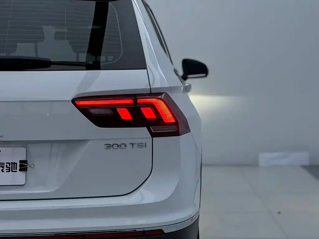 Volkswagen Tiguan L 2023 из CN, фото 7
