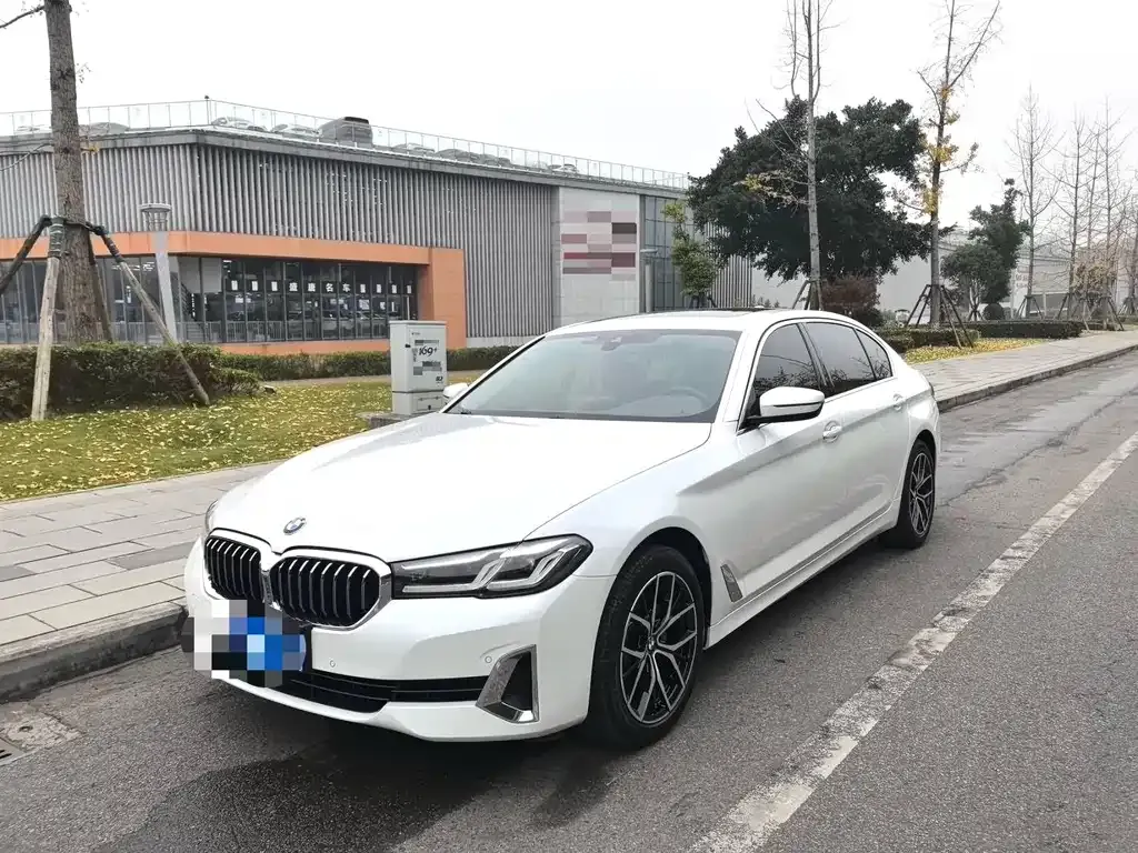 BMW 5 Series 2021 из CN, фото 1