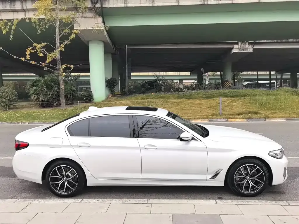 BMW 5 Series 2021 из CN, фото 2