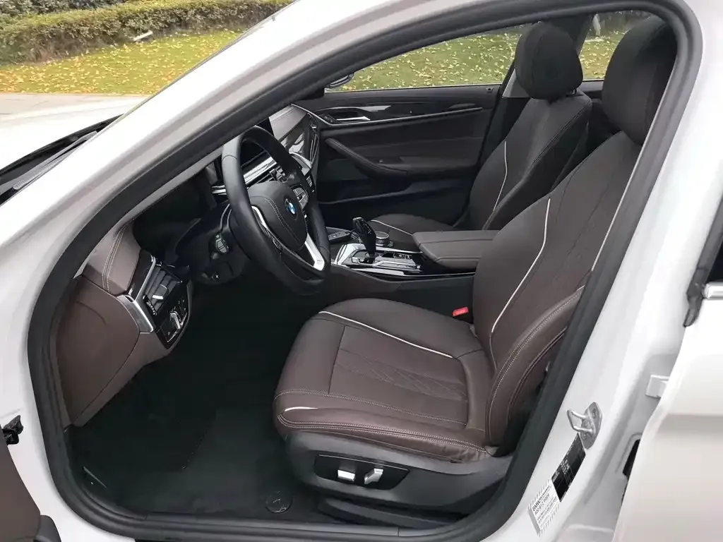 BMW 5 Series 2021 из CN, фото 5