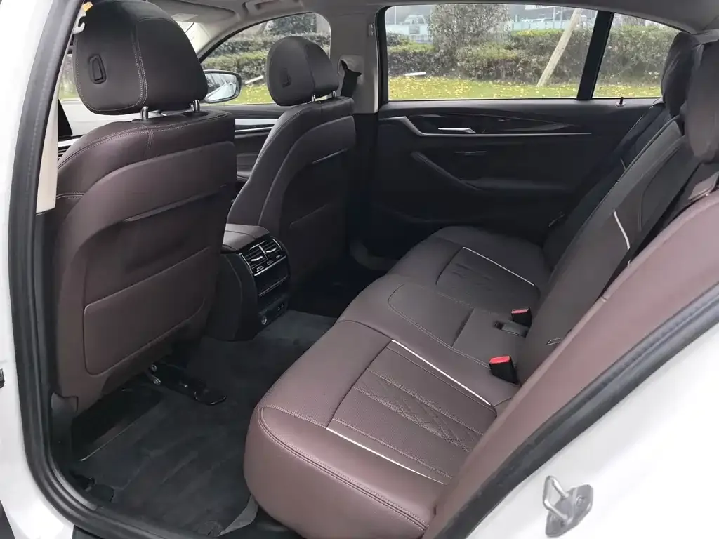 BMW 5 Series 2021 из CN, фото 3