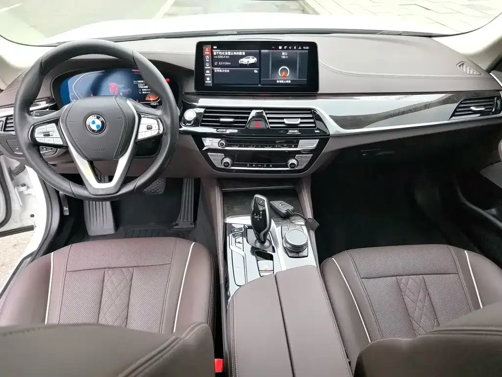 BMW 5 Series 2021 из CN, фото 8