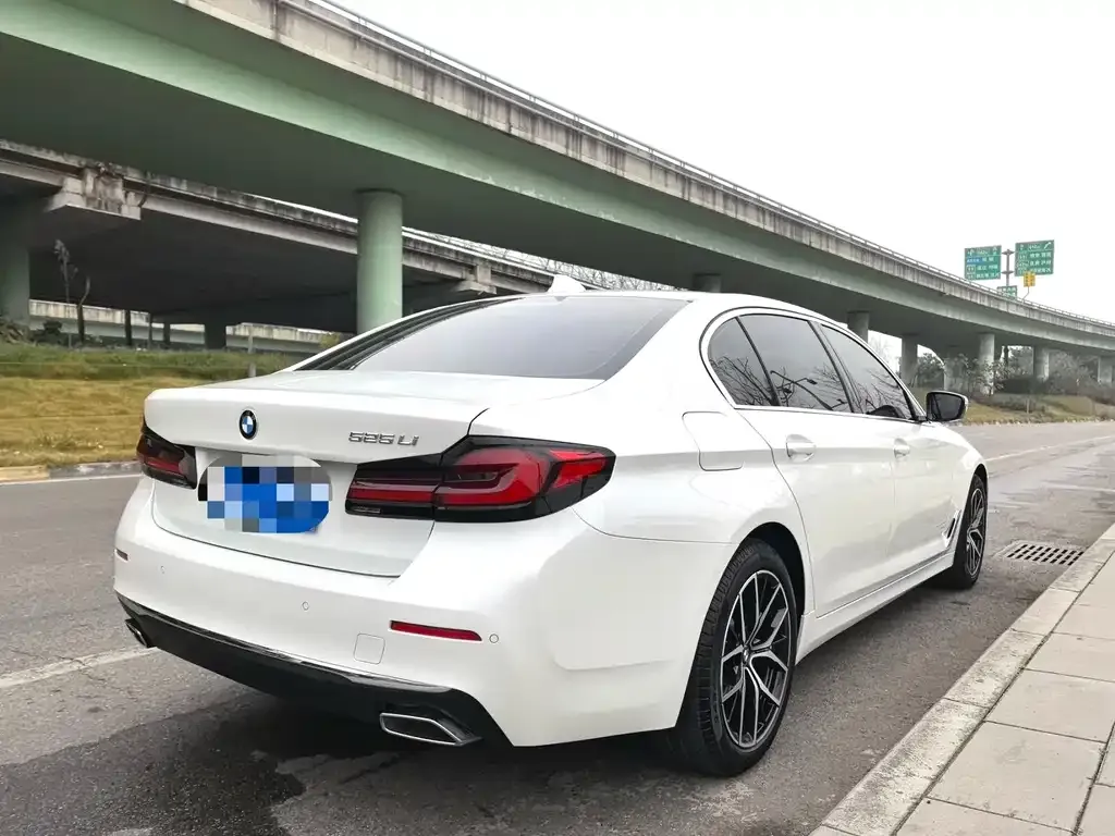 BMW 5 Series 2021 из CN, фото 7