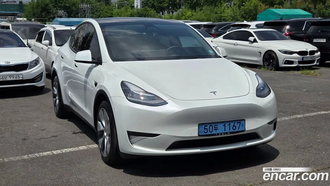 Tesla Model Y — фото 6
