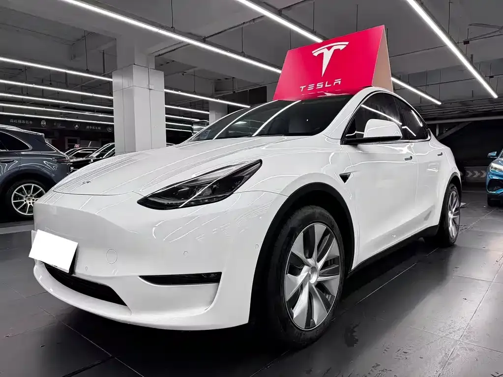 Tesla Model Y — фото 1