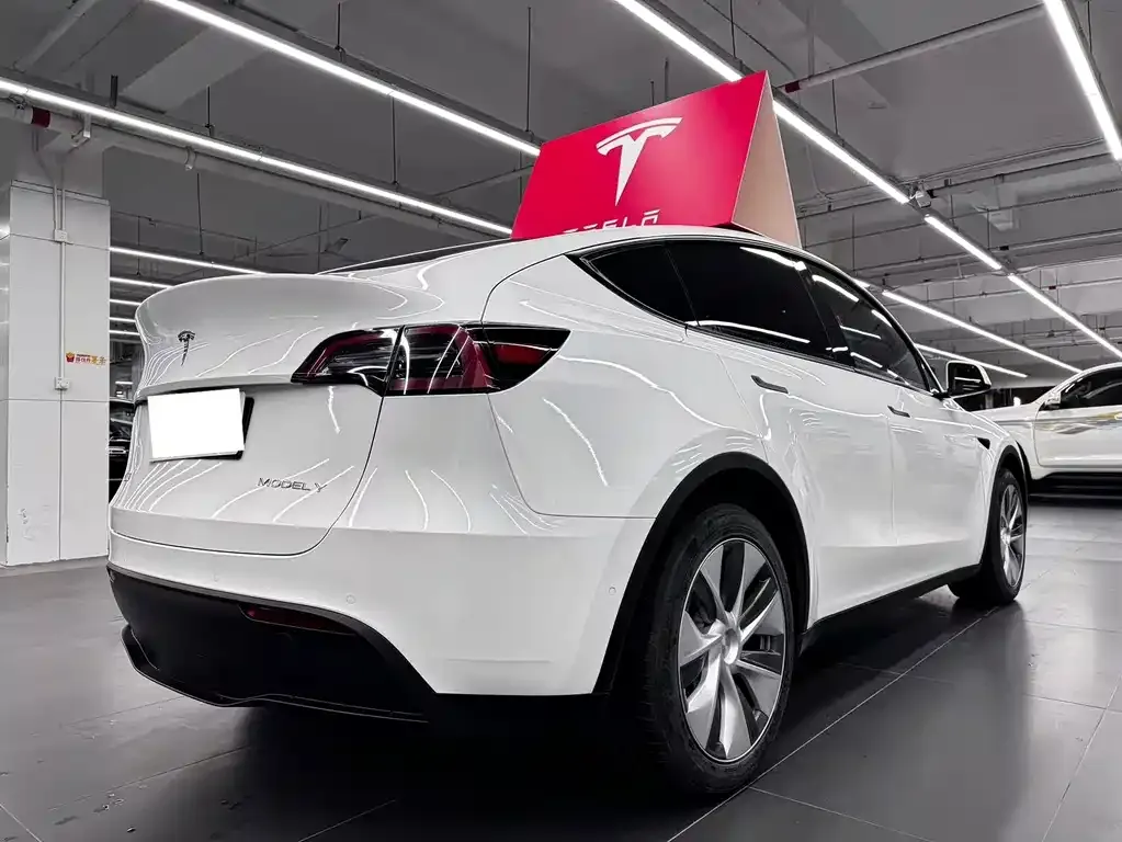 Tesla Model Y — фото 10