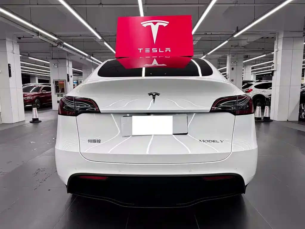 Tesla Model Y — фото 9