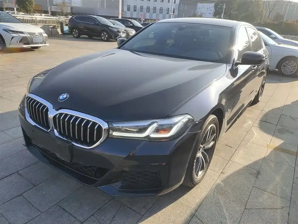 BMW 5 Series 2021 из CN, фото 5