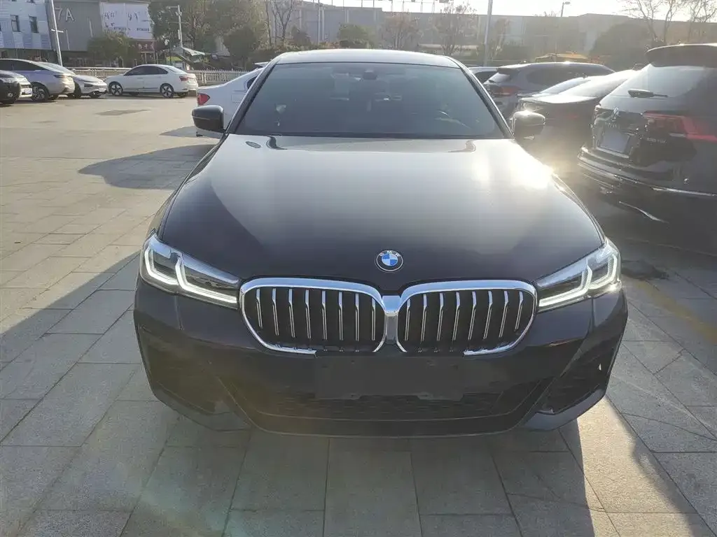 BMW 5 Series 2021 из CN, фото 4