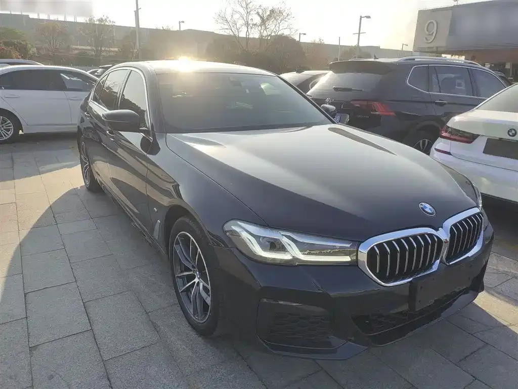 BMW 5 Series 2021 из CN, фото 3