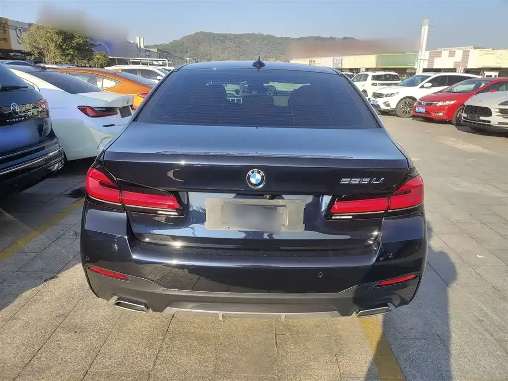 BMW 5 Series 2021 из CN, фото 7