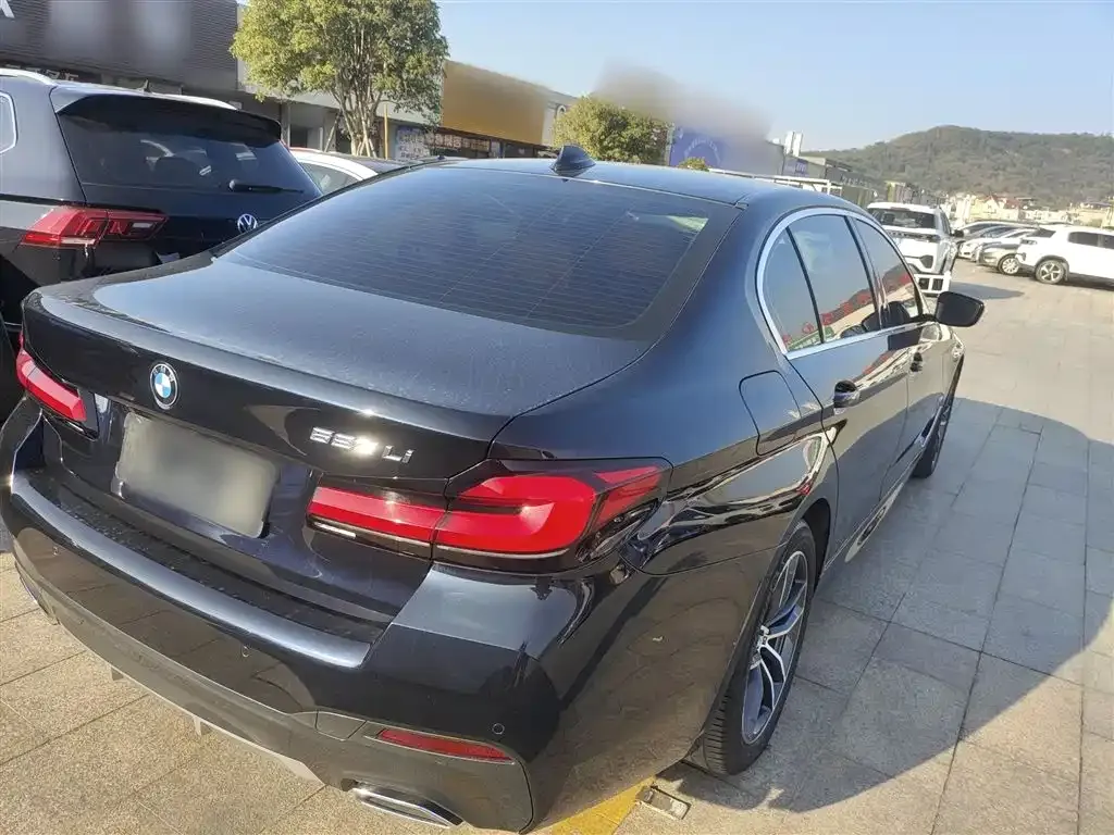 BMW 5 Series 2021 из CN, фото 10