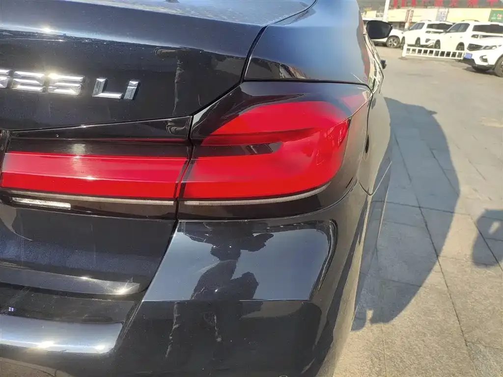 BMW 5 Series 2021 из CN, фото 6