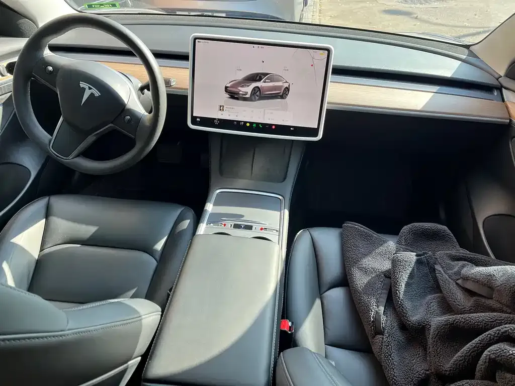 Tesla Model 3 2023 из CN, фото 2