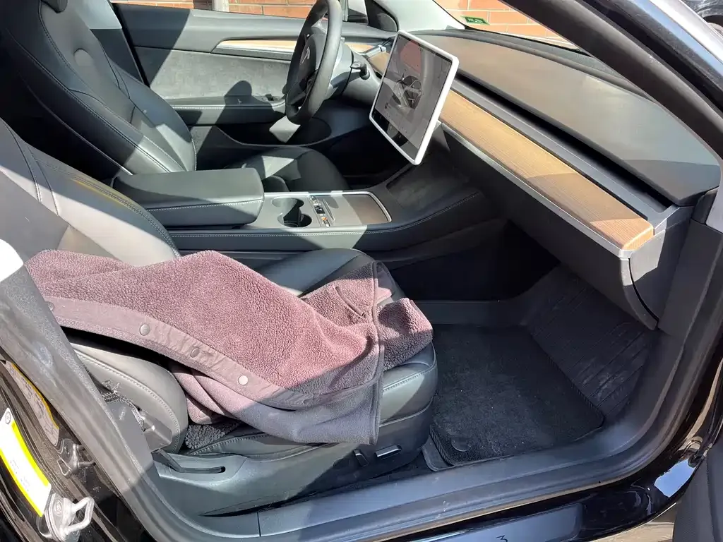 Tesla Model 3 2023 из CN, фото 9
