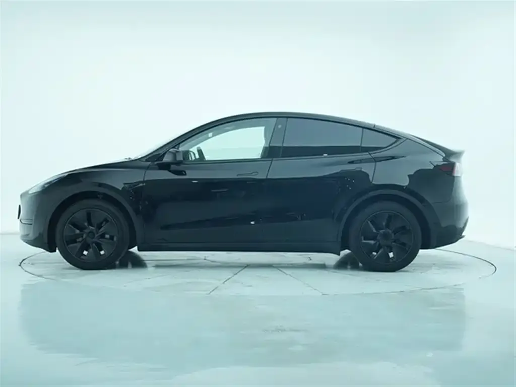 Tesla Model Y 2024 из CN, фото 6