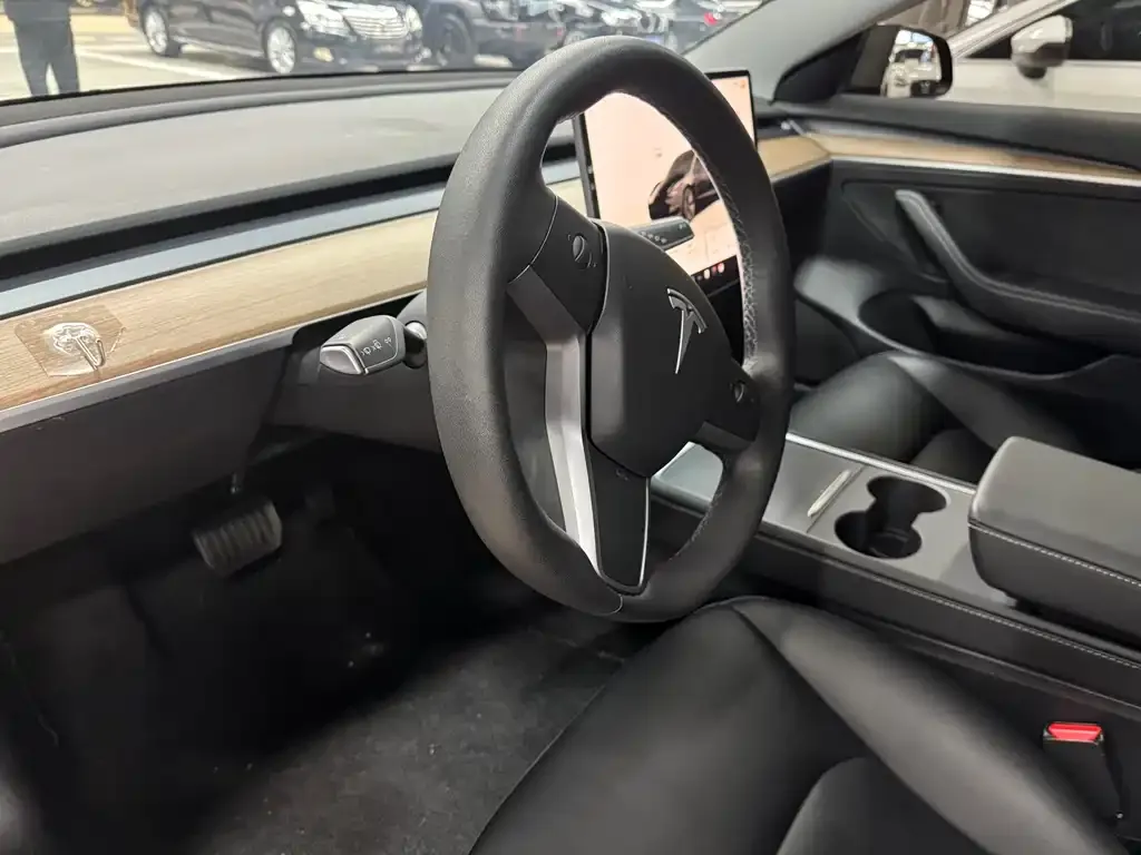 Tesla Model 3 2022 из CN, фото 5