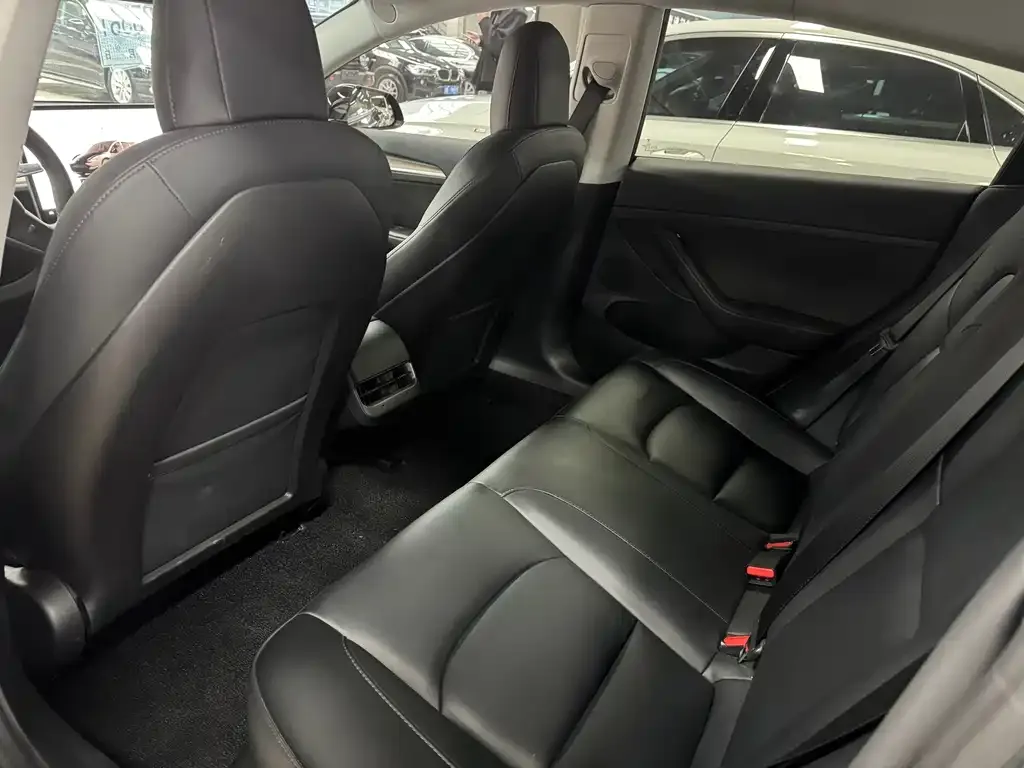 Tesla Model 3 2022 из CN, фото 3