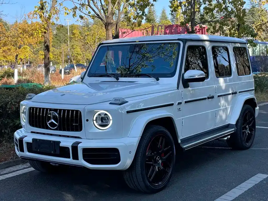 Mercedes-Benz G-Class 2021 из CN, фото 1