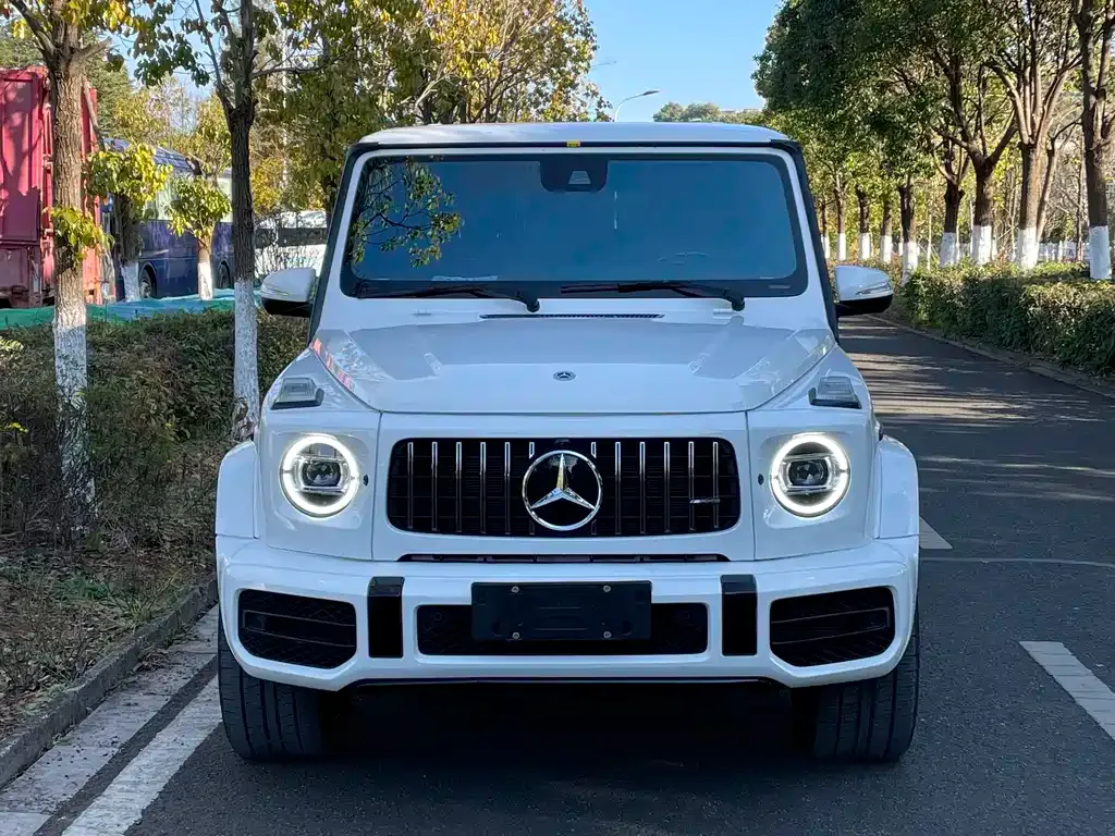 Mercedes-Benz G-Class 2021 из CN, фото 10