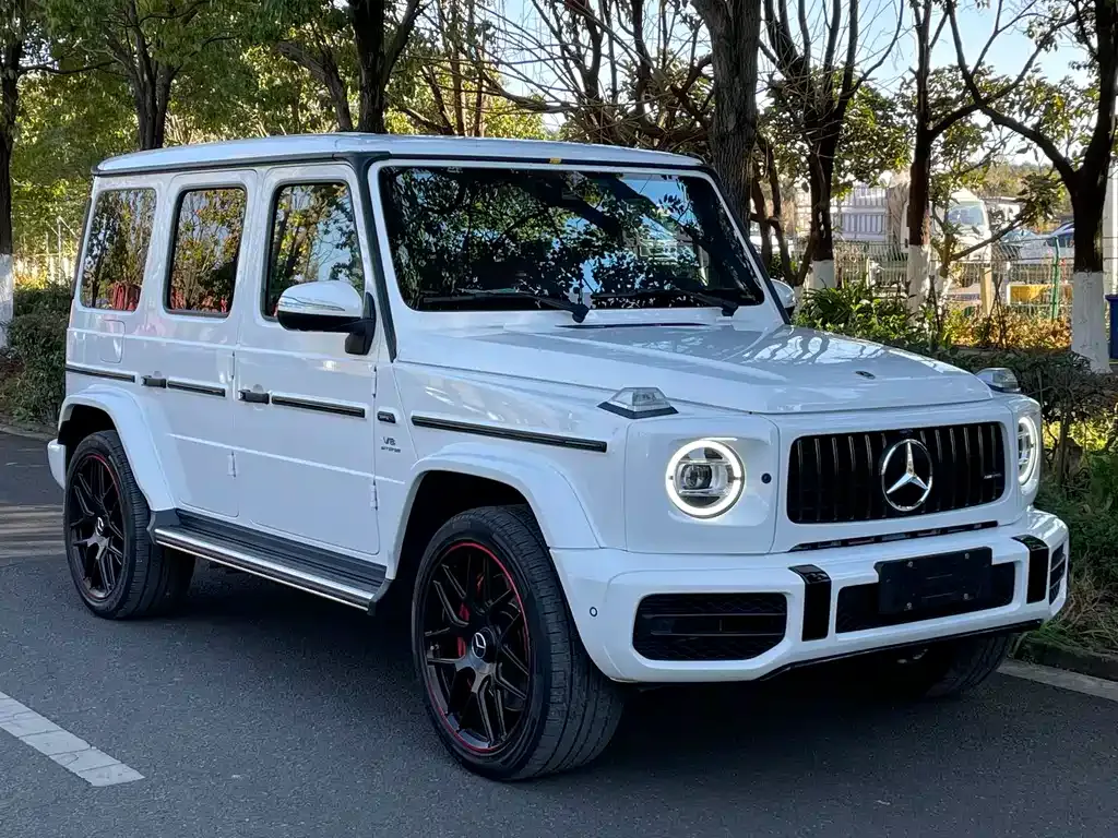 Mercedes-Benz G-Class 2021 из CN, фото 8