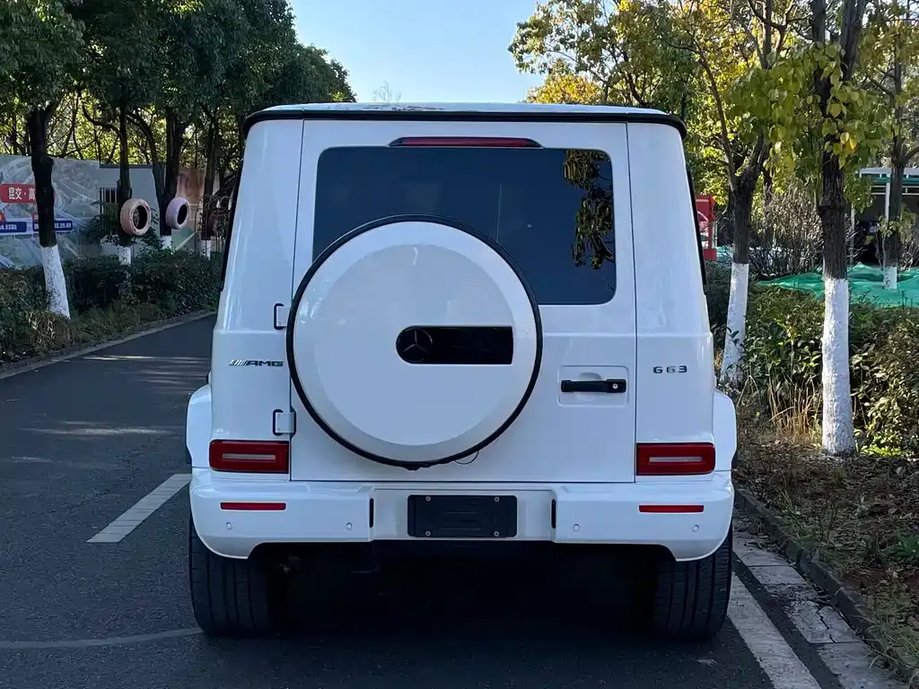 Mercedes-Benz G-Class 2021 из CN, фото 9