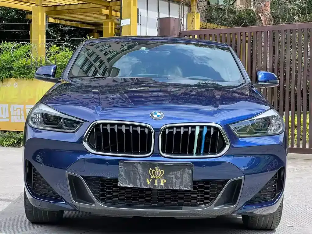 BMW X2 2021 из CN, фото 9