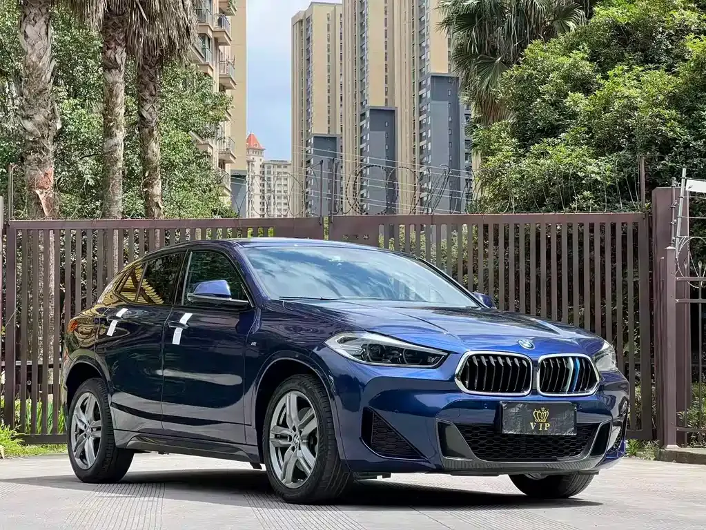 BMW X2 2021 из CN, фото 6