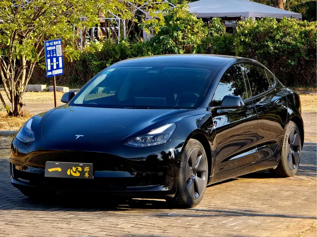 Tesla Model 3 2021 из CN, фото 1