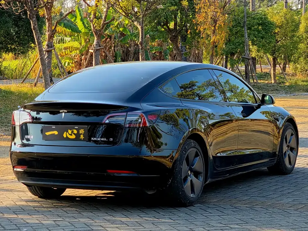 Tesla Model 3 2021 из CN, фото 6