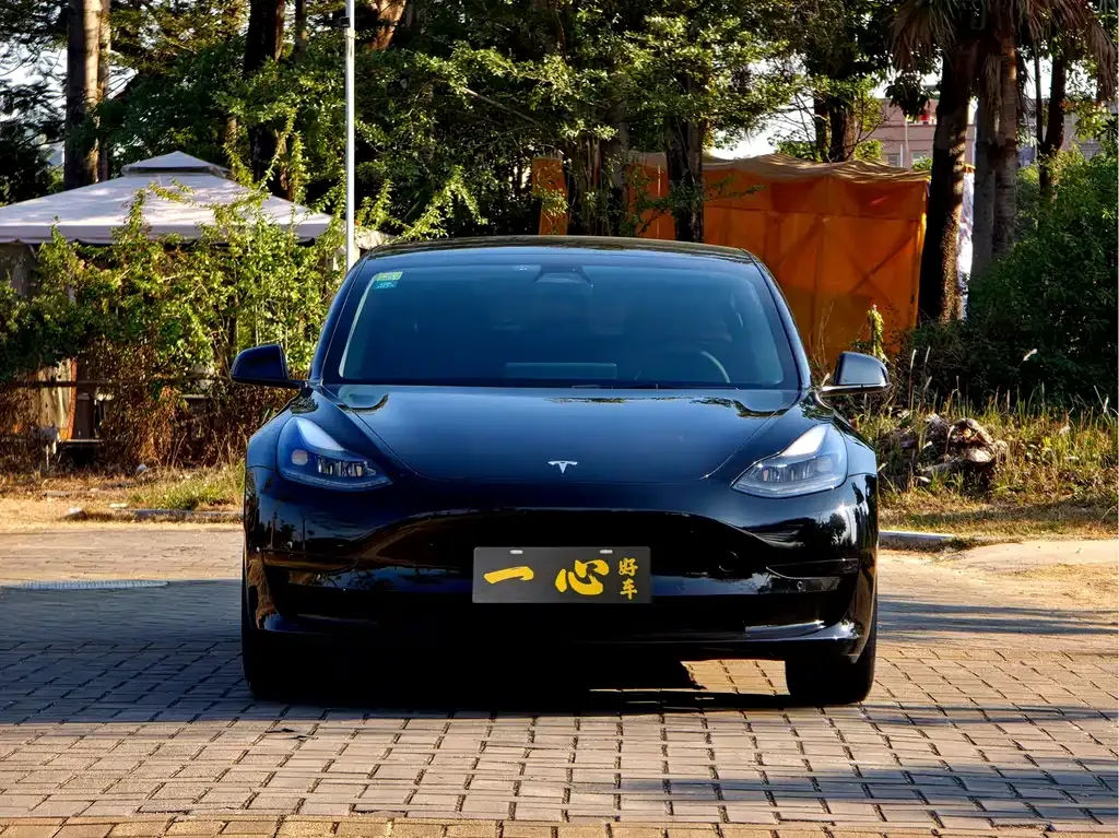 Tesla Model 3 2021 из CN, фото 9