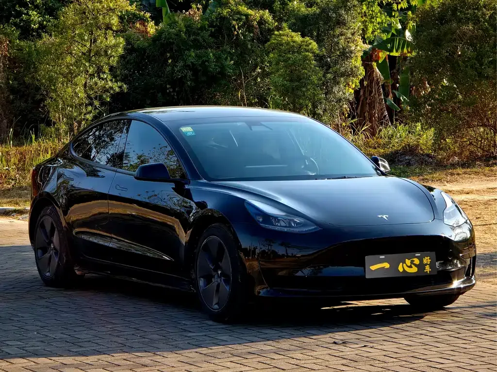 Tesla Model 3 2021 из CN, фото 10