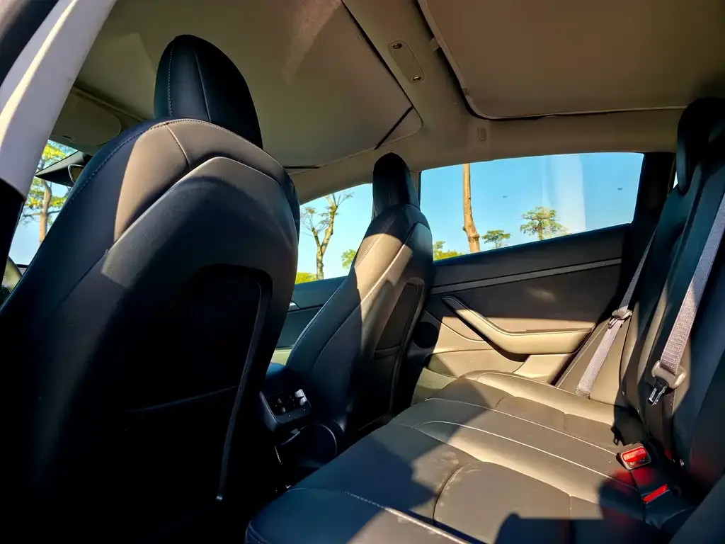 Tesla Model 3 2021 из CN, фото 3