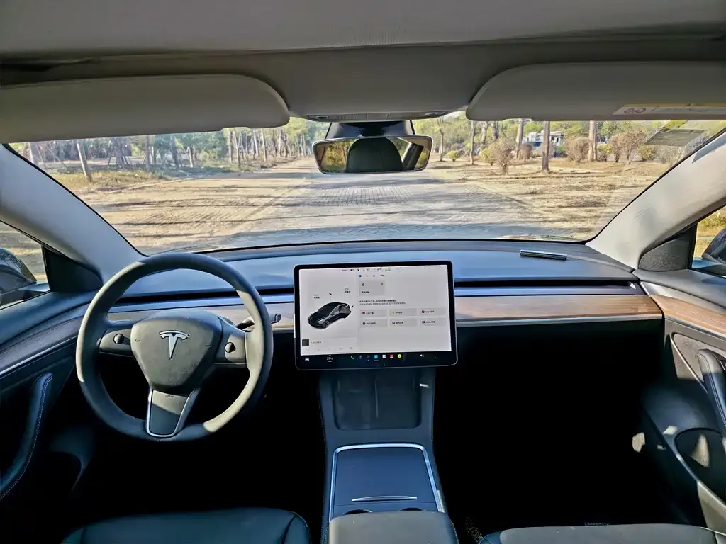 Tesla Model 3 2021 из CN, фото 4