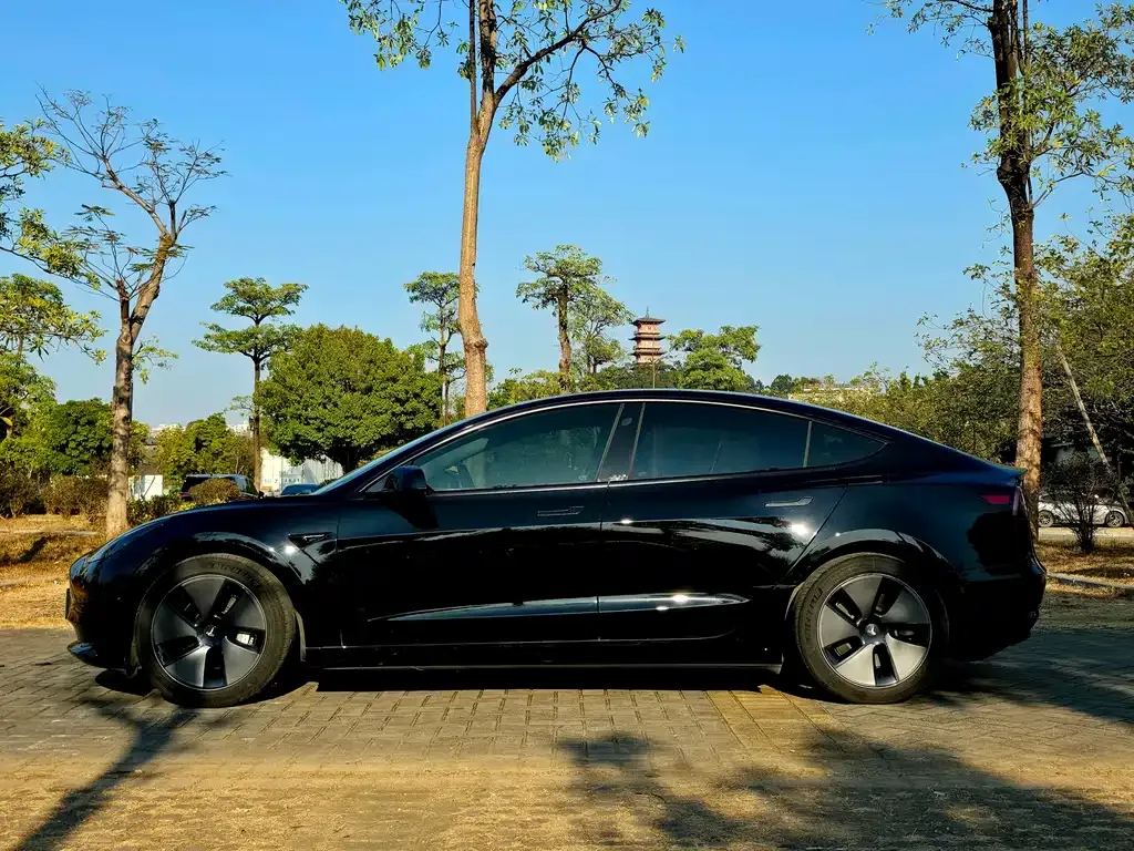 Tesla Model 3 2021 из CN, фото 8